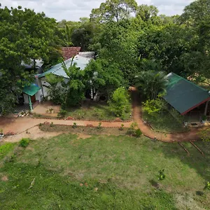 Gasthof Sigiri Close-up View Guest, Sigiriya